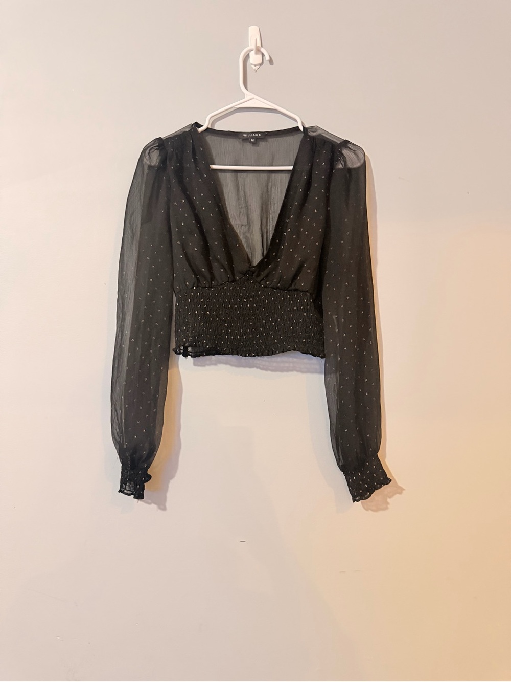 William B Black Sheer Long-Sleeve Smocked Crop Top